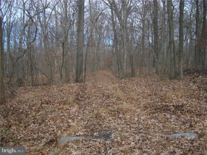Lot 18 Stover Mill Road Perkasie, PA 18944 - Photo 7 of 15