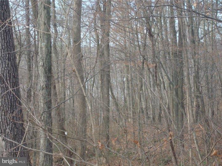 Lot 18 Stover Mill Road Perkasie, PA 18944 - Photo 10 of 15