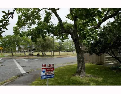 a view of a park with large trees