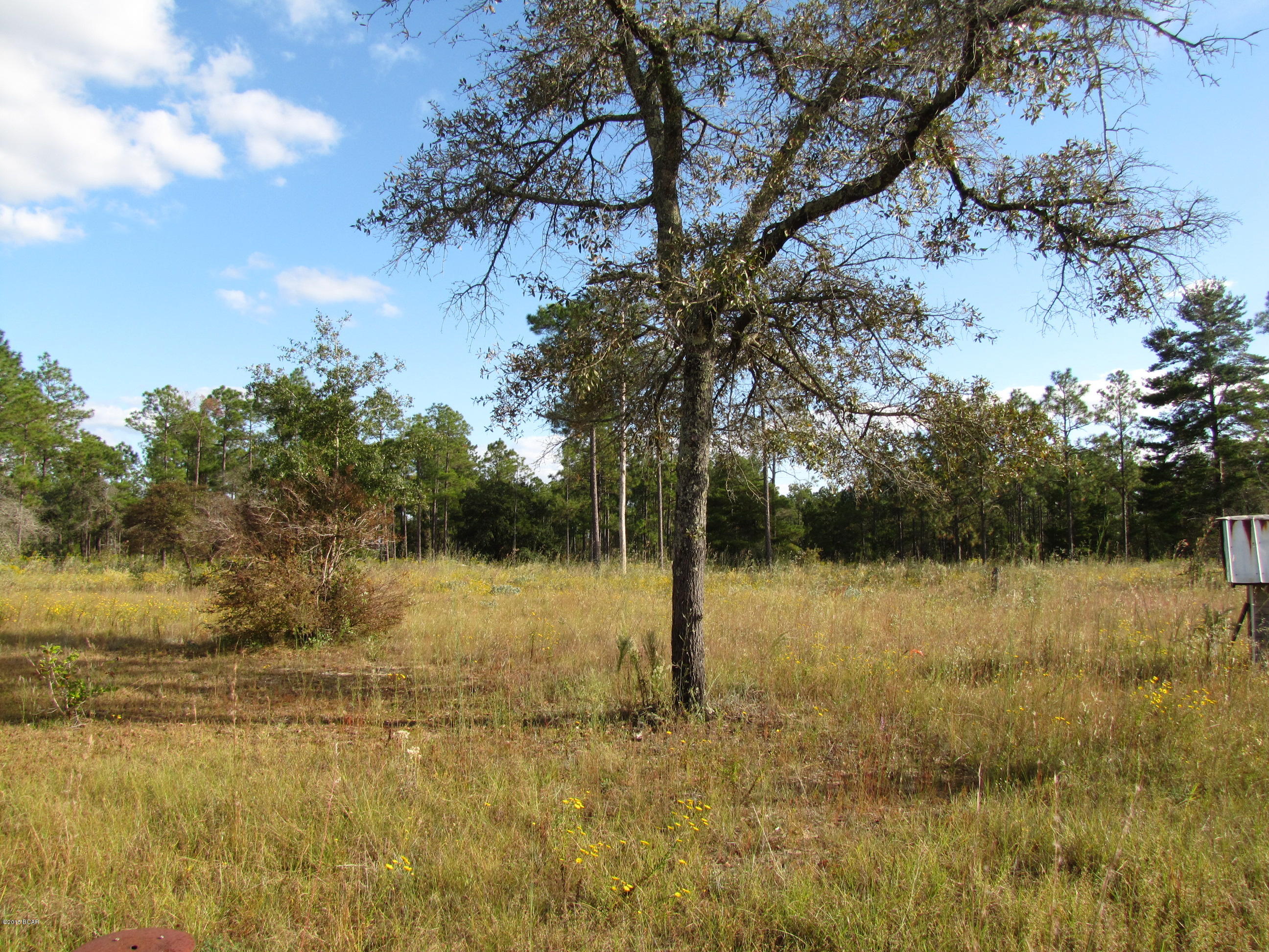 2320 Rolling Pines Road Chipley, FL 32428 - Photo 32 of 33 Gallery Image 32