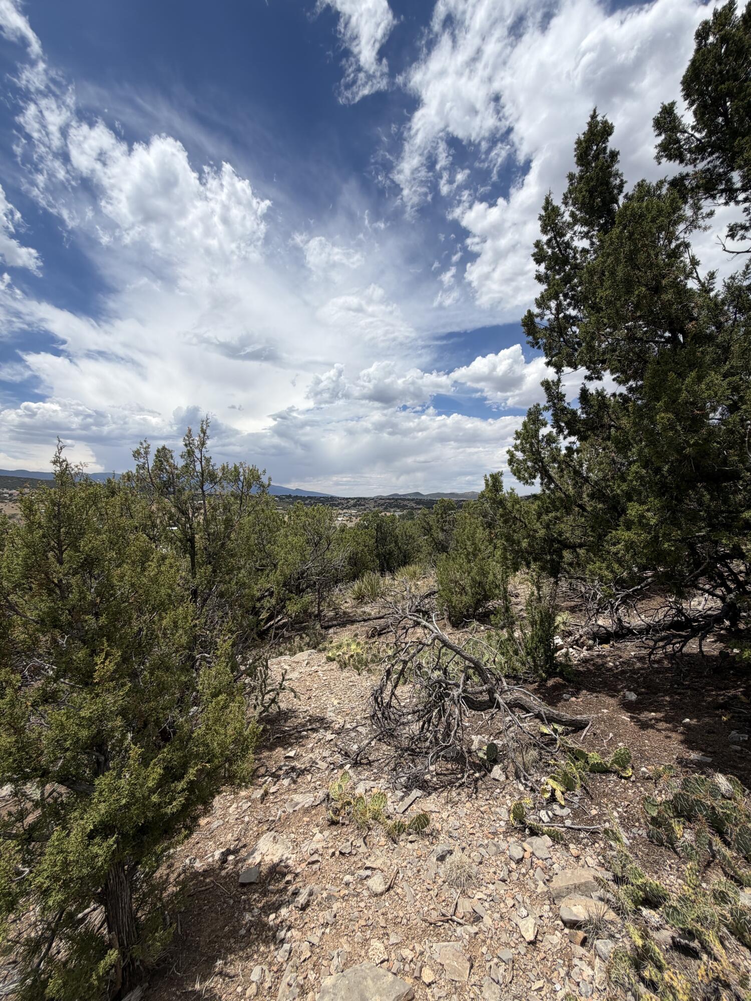 0 County Line Road Edgewood, NM 87015 - Photo 16 of 20 Gallery Image 16