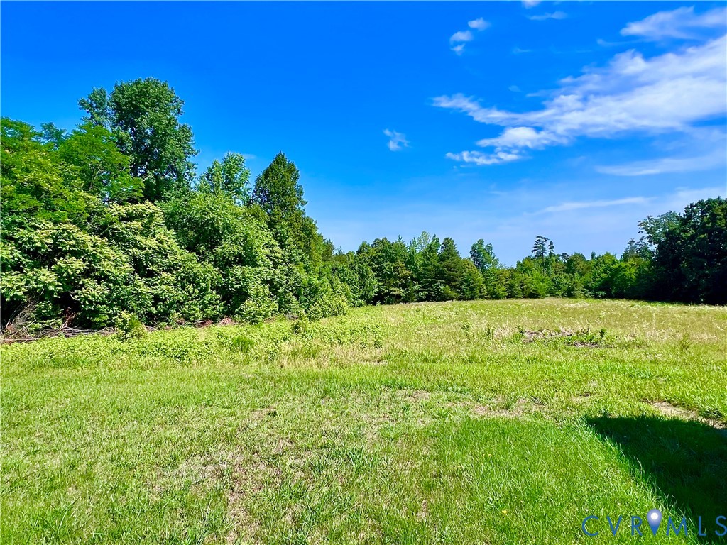 7530 South Genito Road Jetersville, VA 23083 - Photo 14 of 15