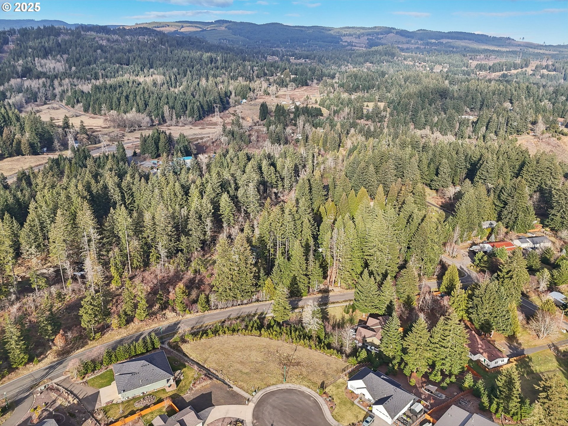 189 Falcon Court Stevenson, WA 98648 - Photo 13 of 14 a view of a city with lush green forest