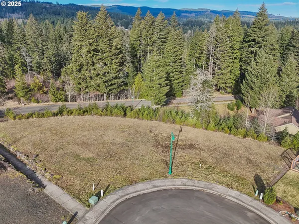 a view of a road with a yard