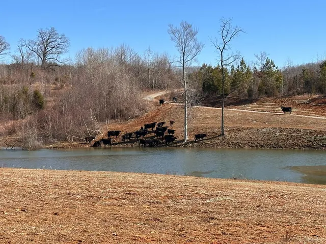 $619,900 | 1081 Lennig Road, Nathalie, VA 24577