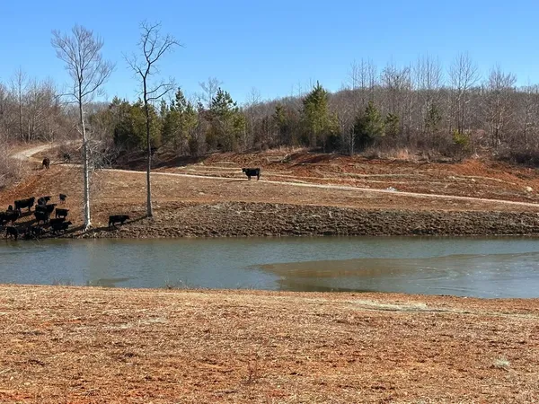 $619,900 | 1081 Lennig Road, Nathalie, VA 24577