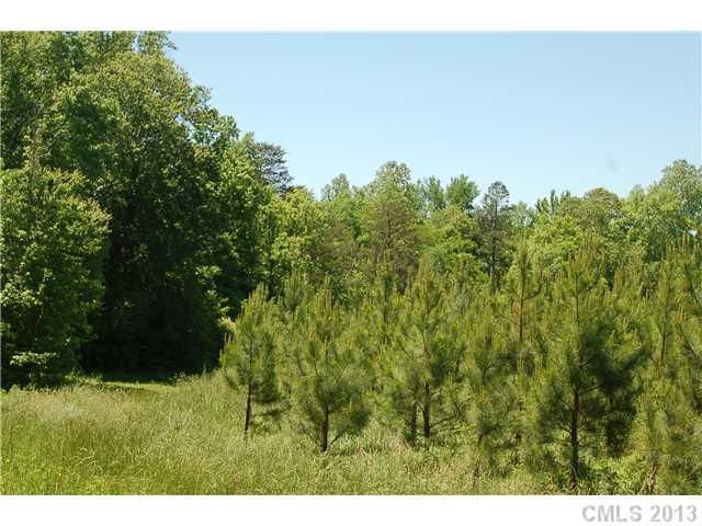 0 Christopher Road Iron Station, NC 28080 - Photo 10 of 13 Gallery Image 10