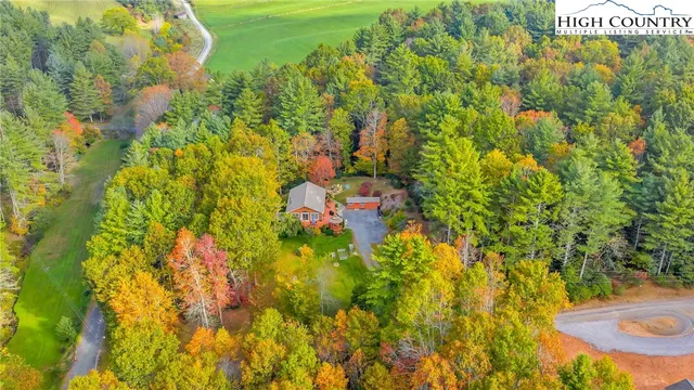 a view of a yard with plants