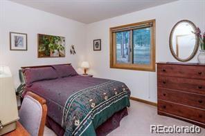 636 Bluebird Drive Bailey, CO 80421 - Photo 12 of 29 a bedroom with a bed and a window