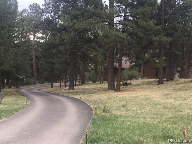 636 Bluebird Drive Bailey, CO 80421 - Photo 14 of 29 a view of a yard with a house