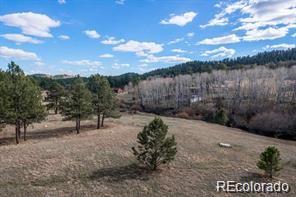 636 Bluebird Drive Bailey, CO 80421 - Photo 15 of 29 a view of a yard with wooden fence