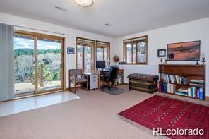 636 Bluebird Drive Bailey, CO 80421 - Photo 17 of 29 a living room with furniture a bookshelf and a large window