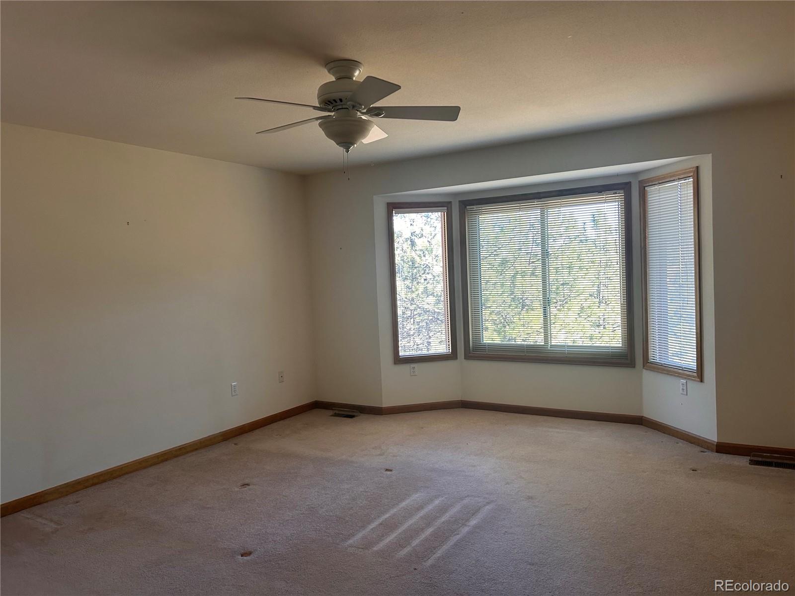 636 Bluebird Drive Bailey, CO 80421 - Photo 27 of 29 an empty room with windows and fan