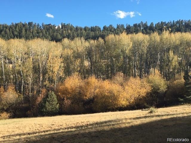 636 Bluebird Drive Bailey, CO 80421 - Photo 5 of 29 a view of lake view and mountain view