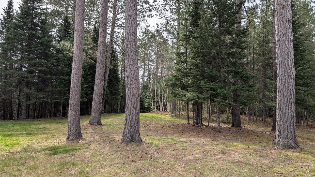 8832 River Road Angora, MN 55703 - Photo 46 of 49