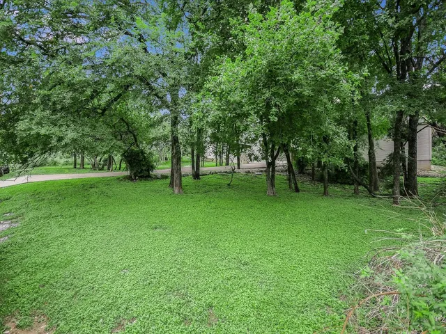 a view of green field with trees in the background