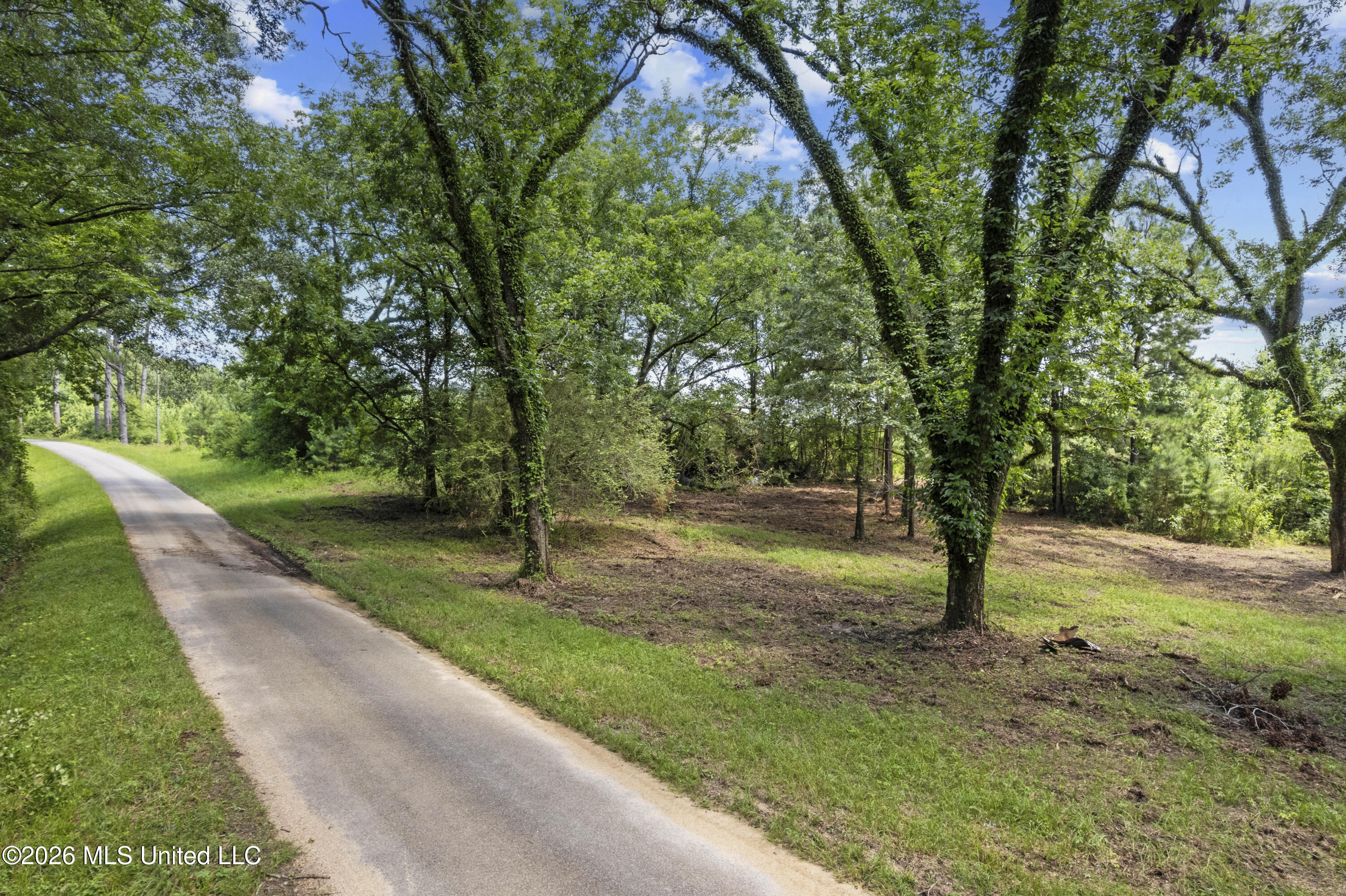 13 Co Road Louin, MS 39338 - Photo 29 of 29 DJI_0333