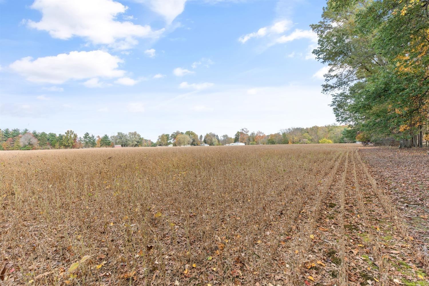 13175 Purdy Road Sardinia, OH 45171 - Photo 18 of 19