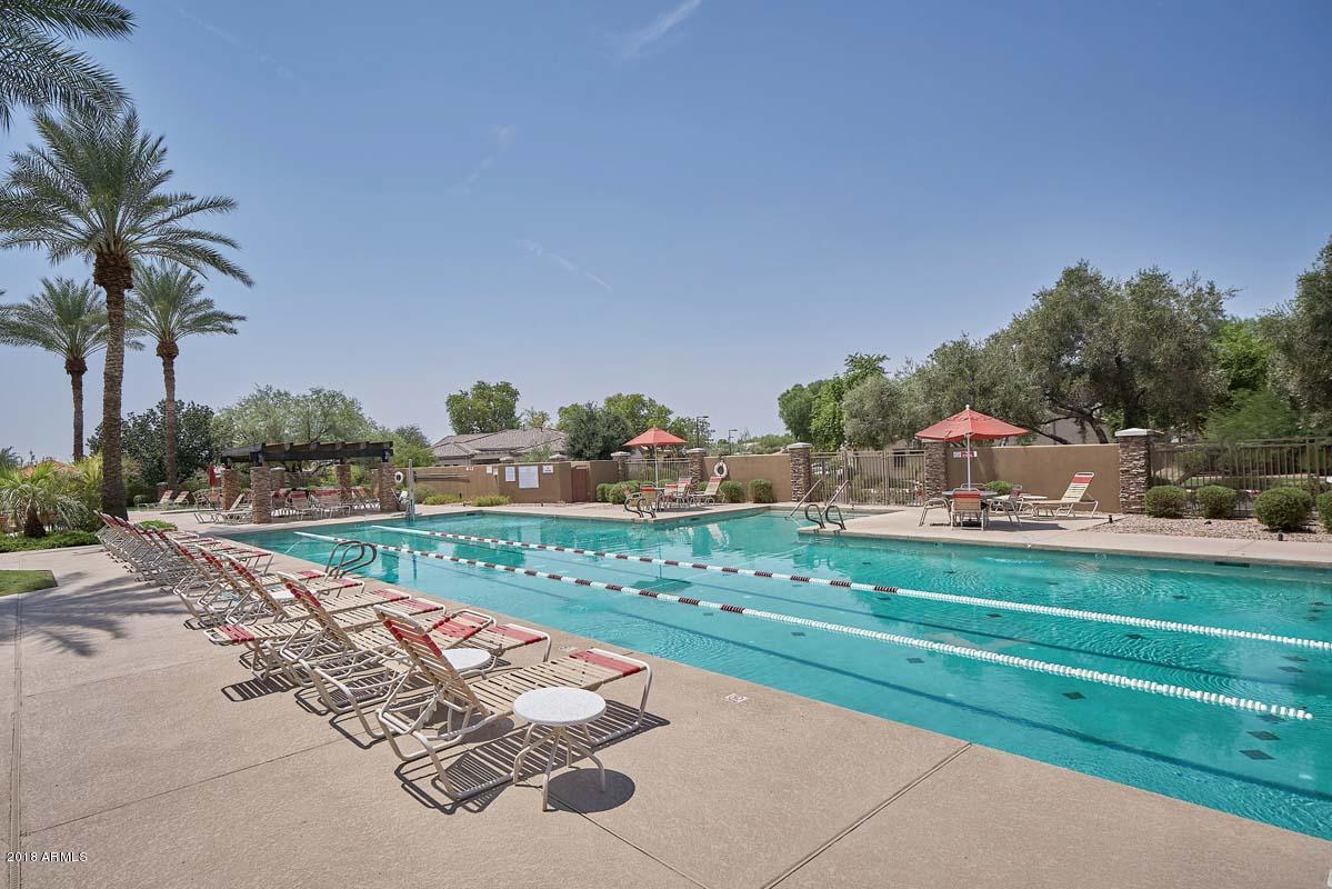 4597 East Walnut Road Gilbert, AZ 85298 - Photo 42 of 51 Trilogy-Community Lap Pool