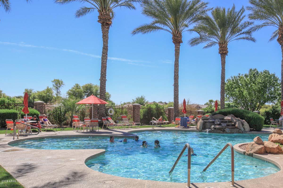4597 East Walnut Road Gilbert, AZ 85298 - Photo 44 of 51 Trilogy-Pool