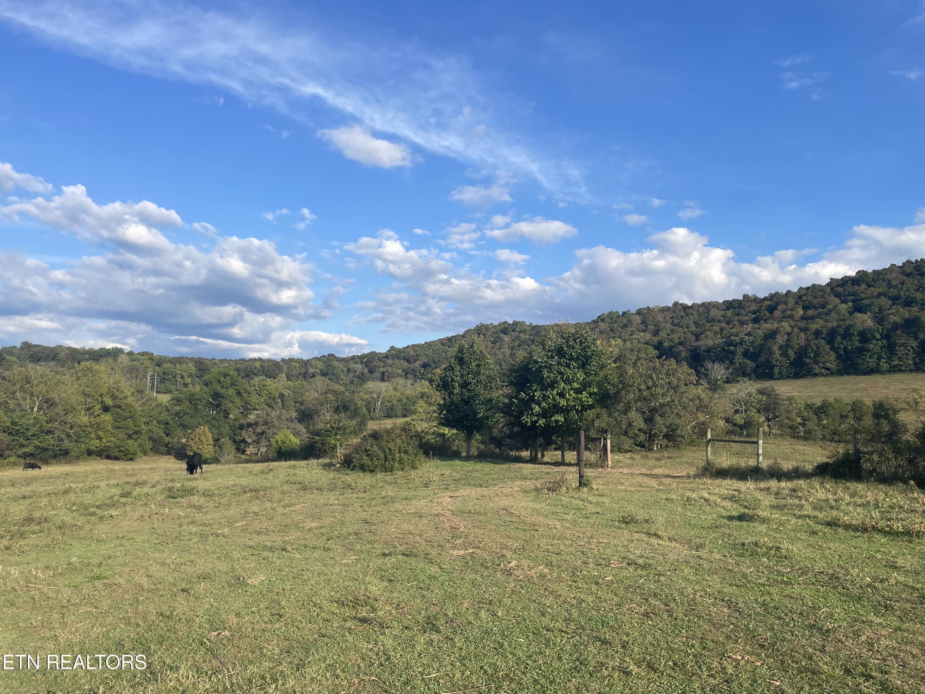 1380 Conrad Templeton Road Quebeck, TN 38579 - Photo 9 of 28 IMG_4705