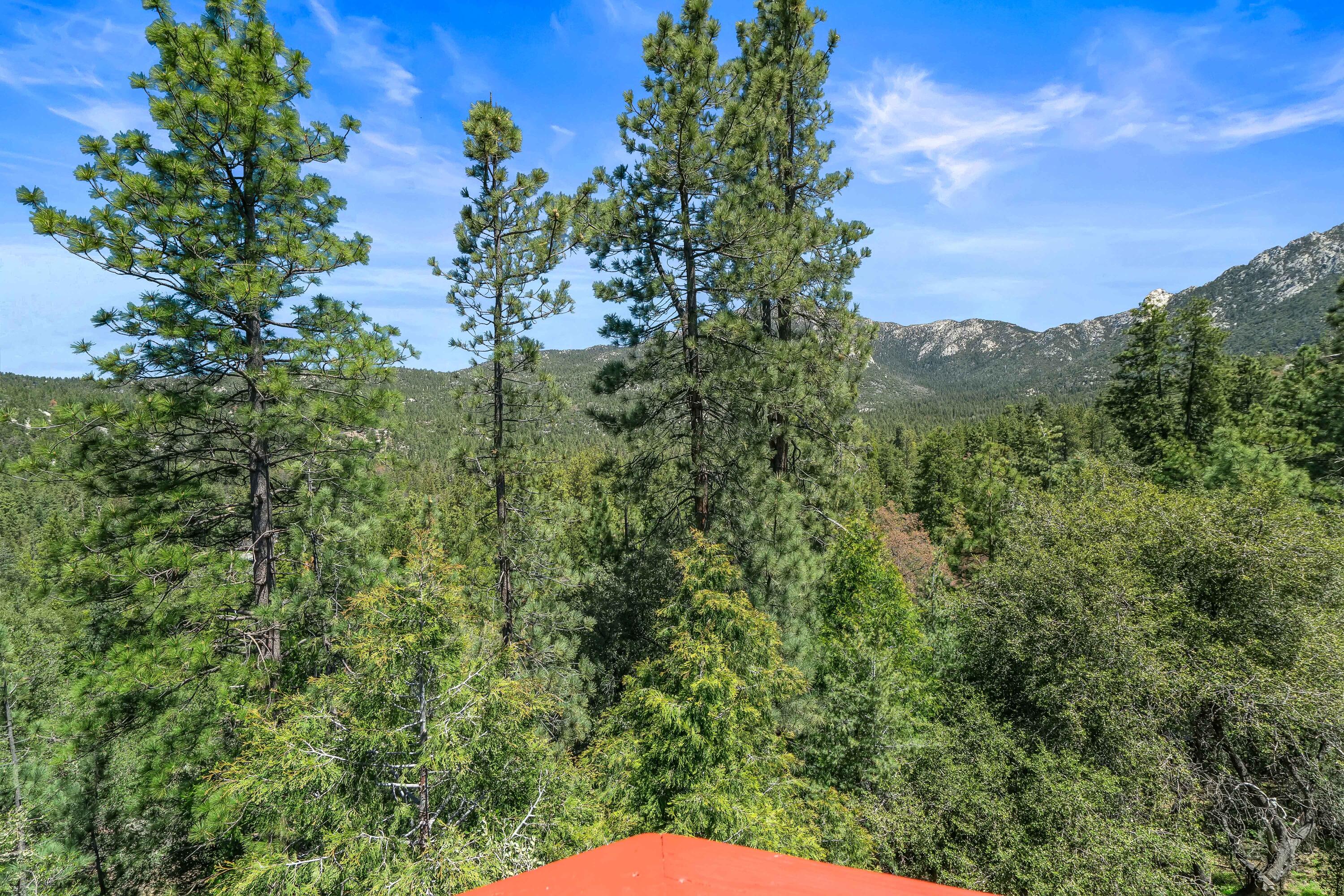 54062 Linger Lane Idyllwild, CA 92549 - Photo 33 of 61 IMG-53
