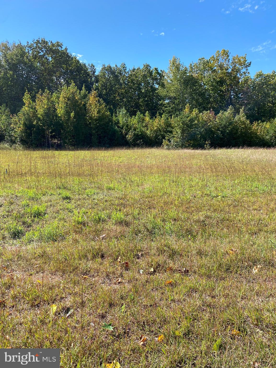 0 Weston Road Louisa, VA 23093 - Photo 1 of 3 Front view of lot.