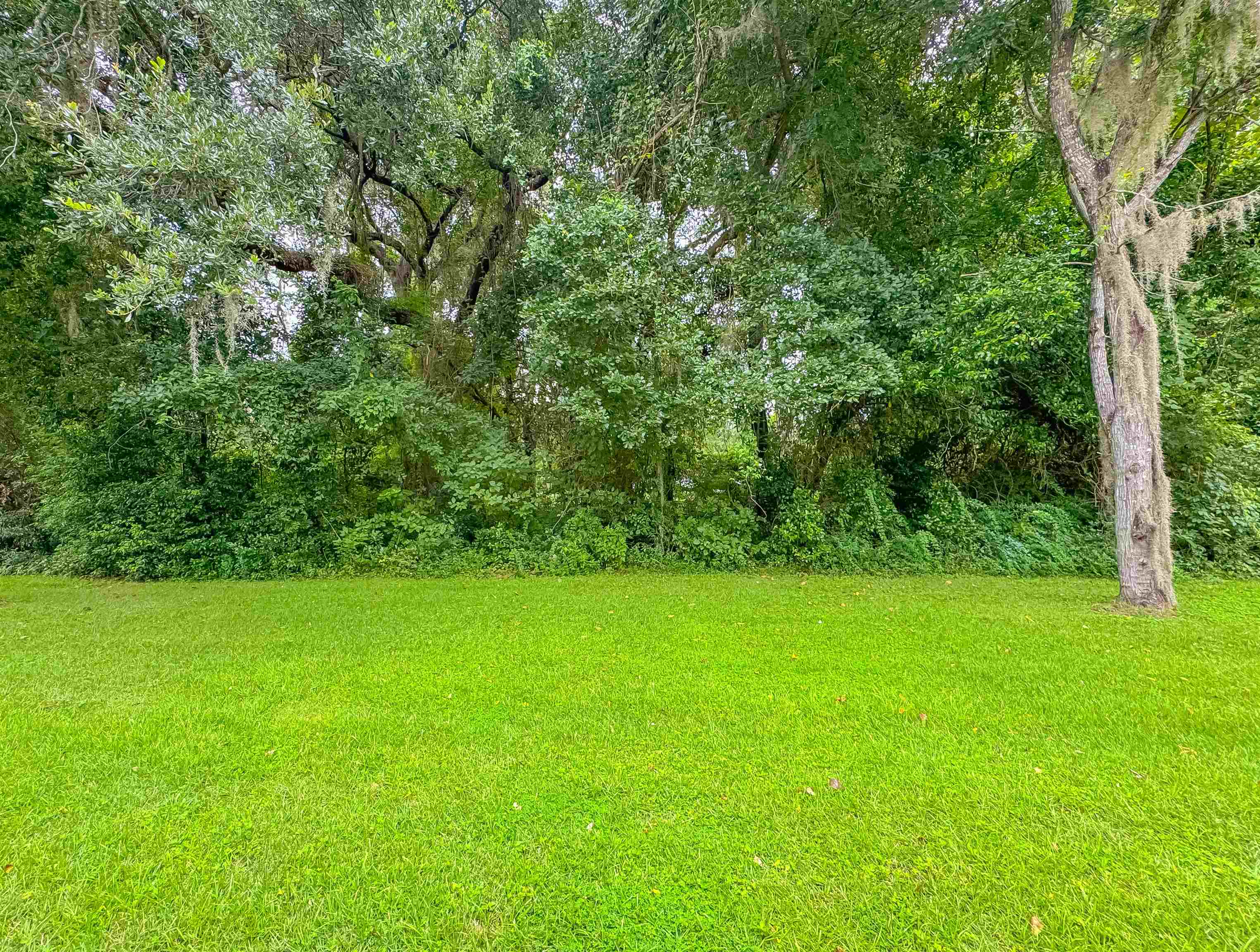 3400 Old Bainbridge Road, Unit 105 Tallahassee, FL 32303 - Photo 18 of 46
