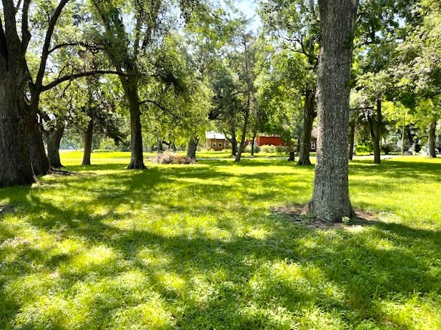 0 Gresham Street Wallis, TX 77485 - Photo 2 of 4 a view of a big yard with a large tree