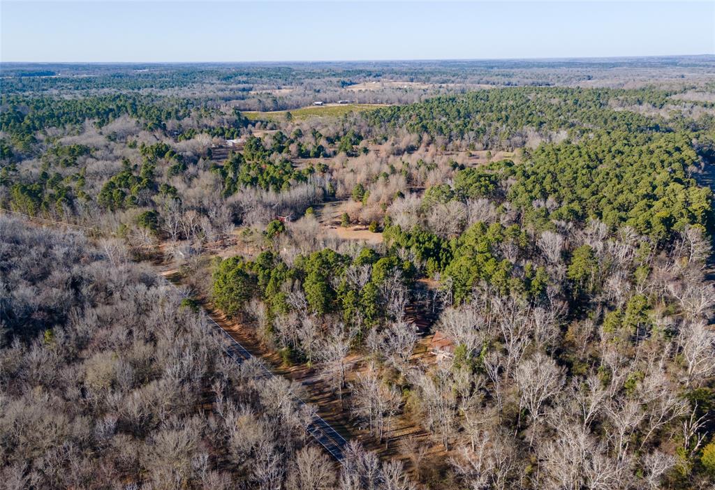 5123 Farm To Market 49 Quitman, TX 75783 - Photo 33 of 33 FM 49 Privacy in Pines FM 49 before Hwy 14