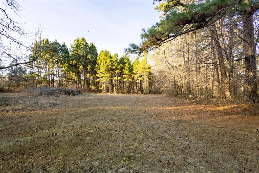 5123 Farm To Market 49 Quitman, TX 75783 - Photo 7 of 33