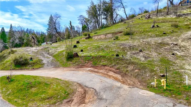 a view of a yard with plants
