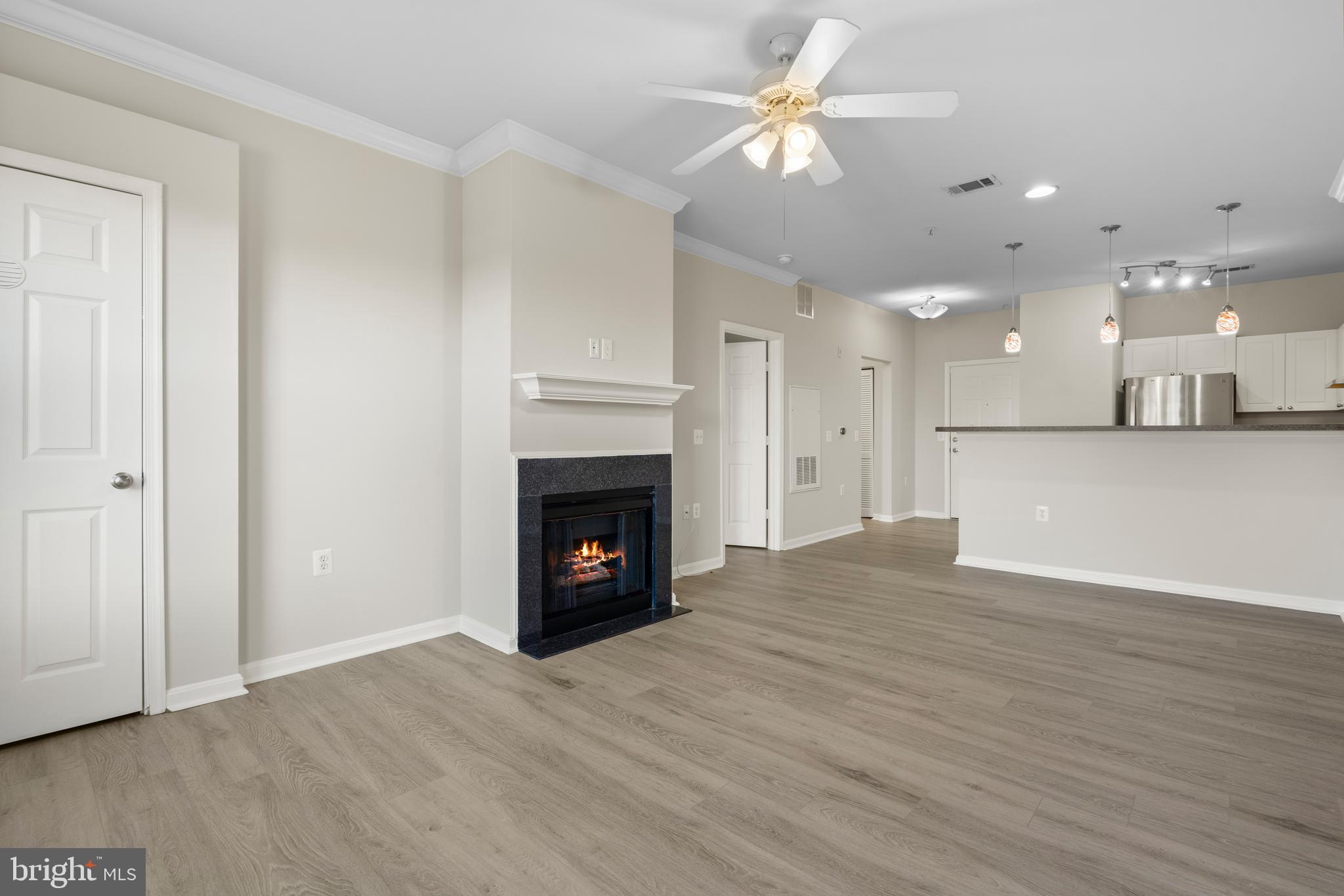 3851 Aristotle Court, Unit 1402 Fairfax, VA 22030 - Photo 4 of 31 a view of an empty room with wooden floor a fireplace and a window