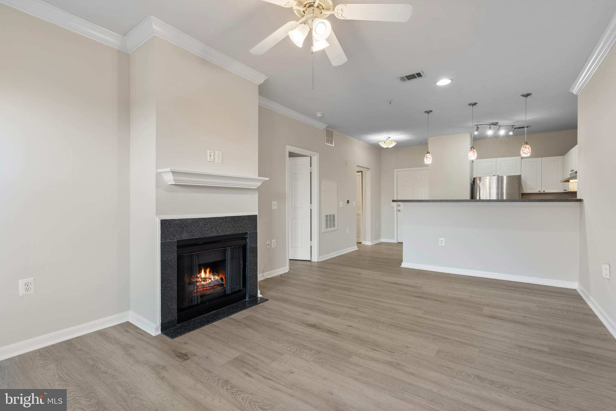 3851 Aristotle Court, Unit 1402 Fairfax, VA 22030 - Photo 6 of 31 a view of an empty room with a fireplace and a window