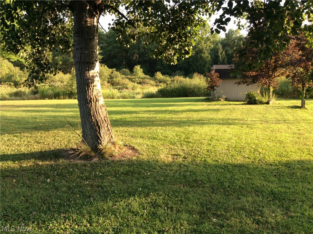 1007 State Road Northwest Warren, OH 44481 - Photo 11 of 17 Gallery Image 11