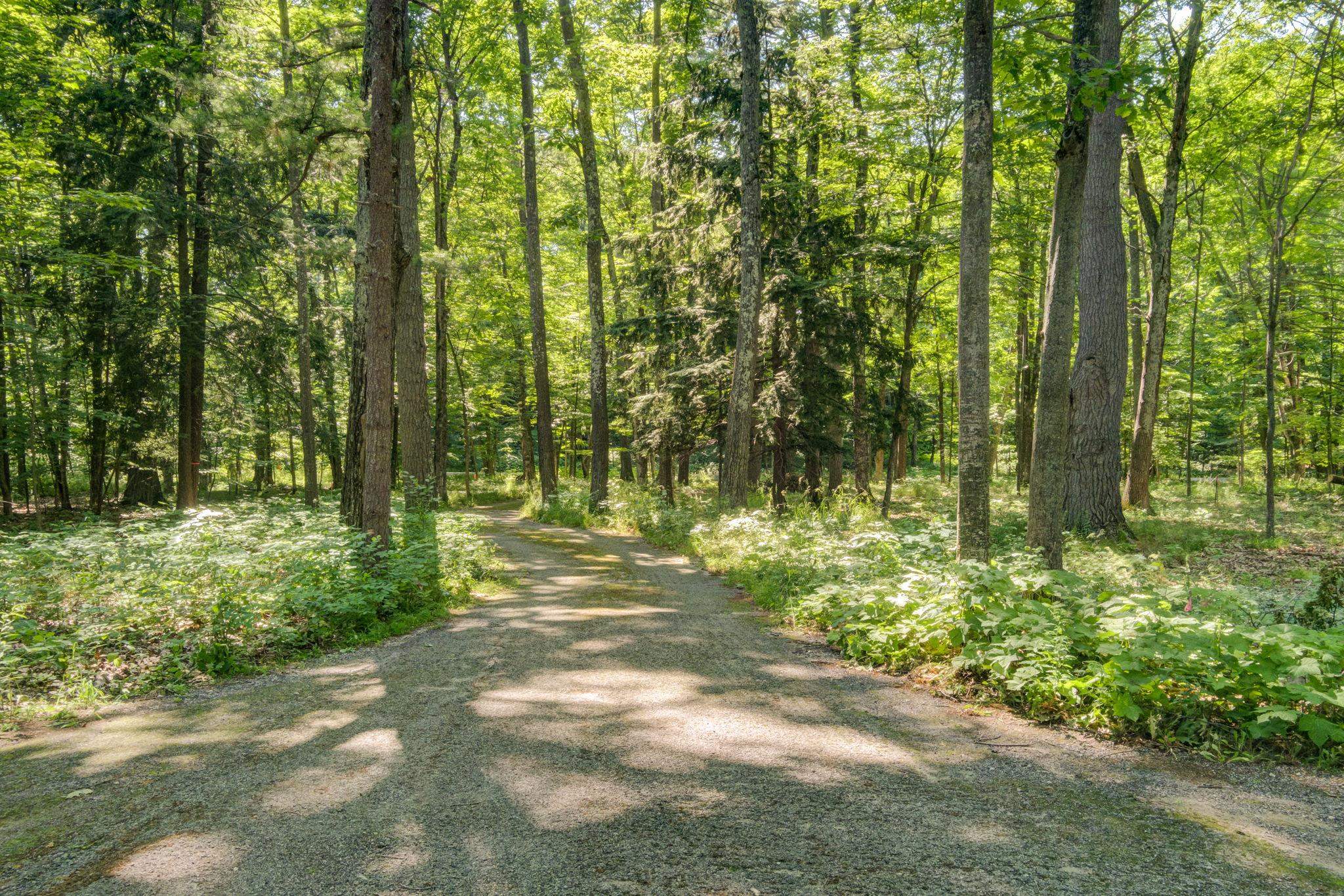 4626 North Omena Point Road, Unit LOT: 11 Omena, MI 49674 - Photo 46 of 48