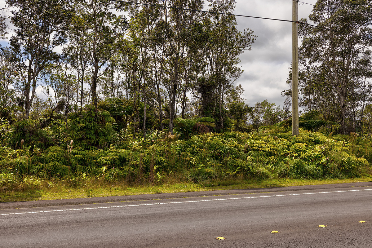 1523 Volcano Road Volcano, HI 96785 - Photo 5 of 9 Gallery Image 5
