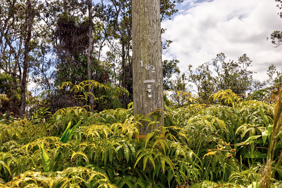 1523 Volcano Road Volcano, HI 96785 - Photo 7 of 9 Gallery Image 7