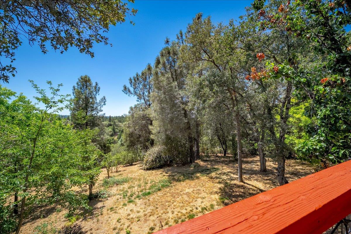3005 Buckboard Road Placerville, CA 95667 - Photo 48 of 82