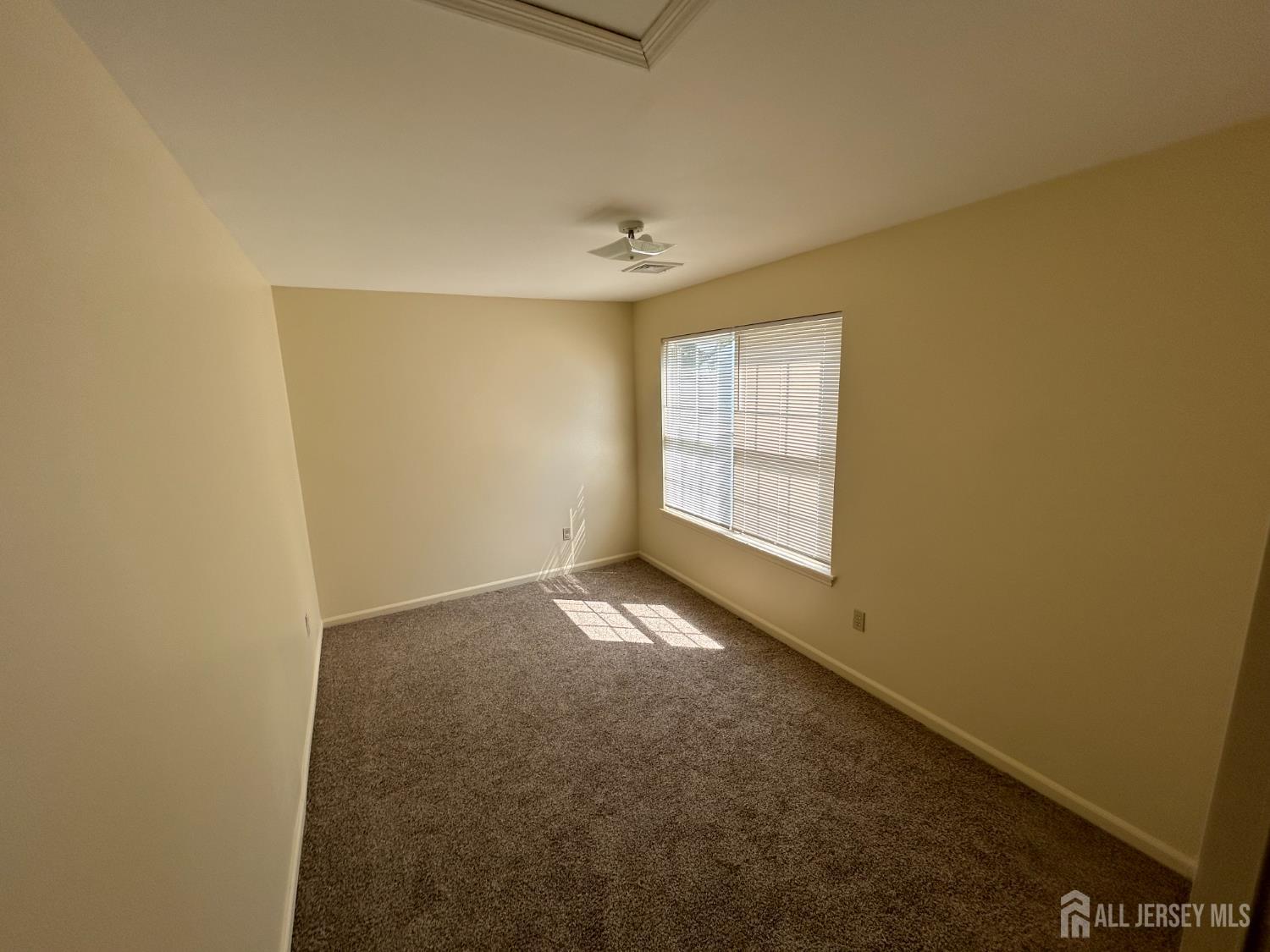 13 Hampton Road, Unit B New Brunswick, NJ 08901 - Photo 6 of 14