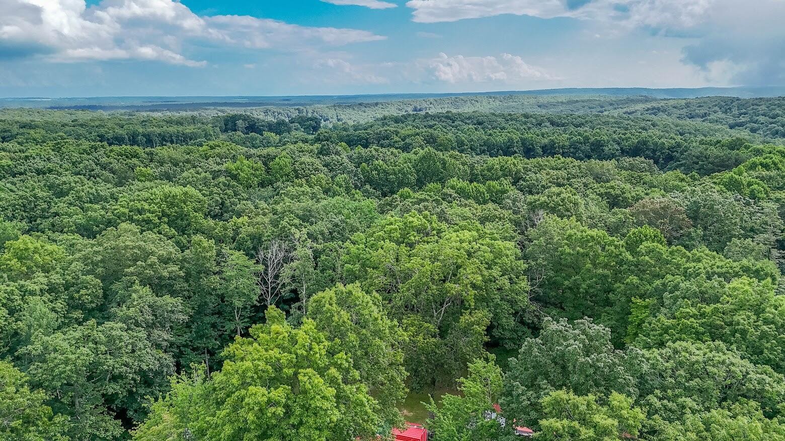 237 Chestnut Ridge Road Spring City, TN 37381 - Photo 74 of 82