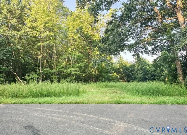 a view of a lush green forest