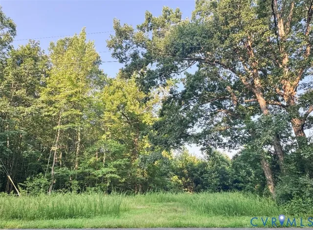 a view of a lush green space