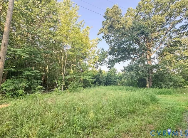 a big yard with lots of green space and deers
