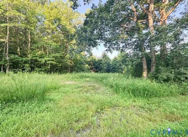 $18,500 | Raw Land Raw Land Nannie Burton, Louisa, VA 23093