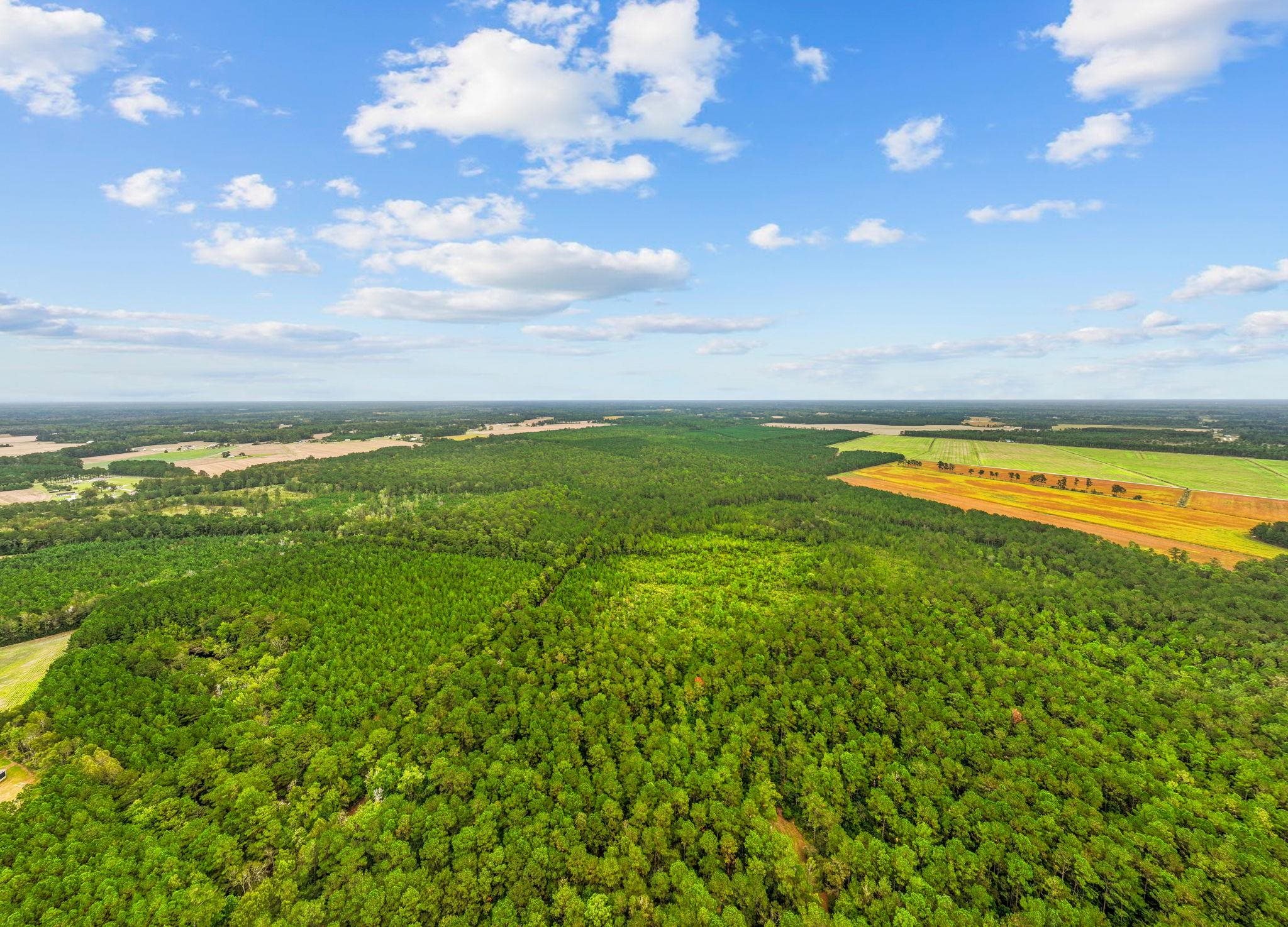 Tbd Riverbend Road Loris, SC 29569 - Photo 1 of 15