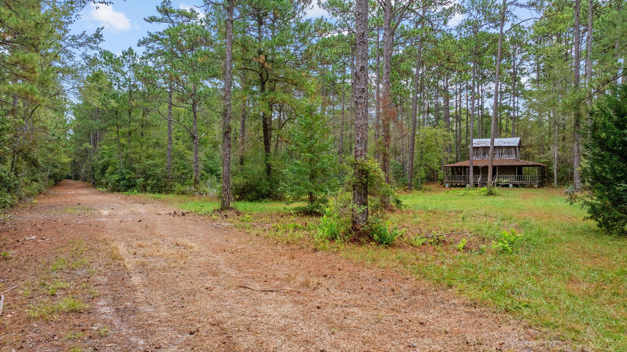 Tbd Riverbend Road Loris, SC 29569 - Photo 11 of 15
