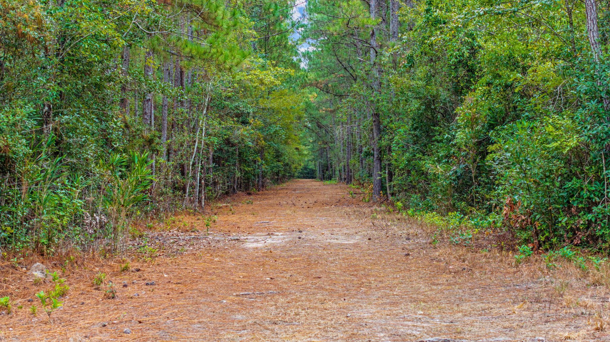 Tbd Riverbend Road Loris, SC 29569 - Photo 12 of 15