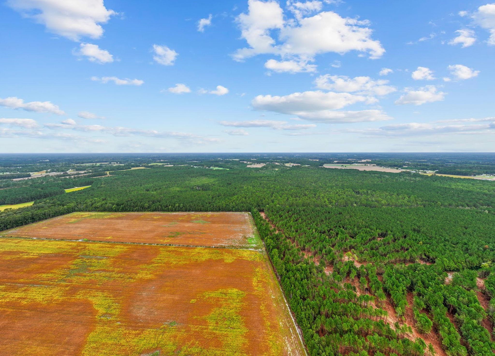 Tbd Riverbend Road Loris, SC 29569 - Photo 4 of 15
