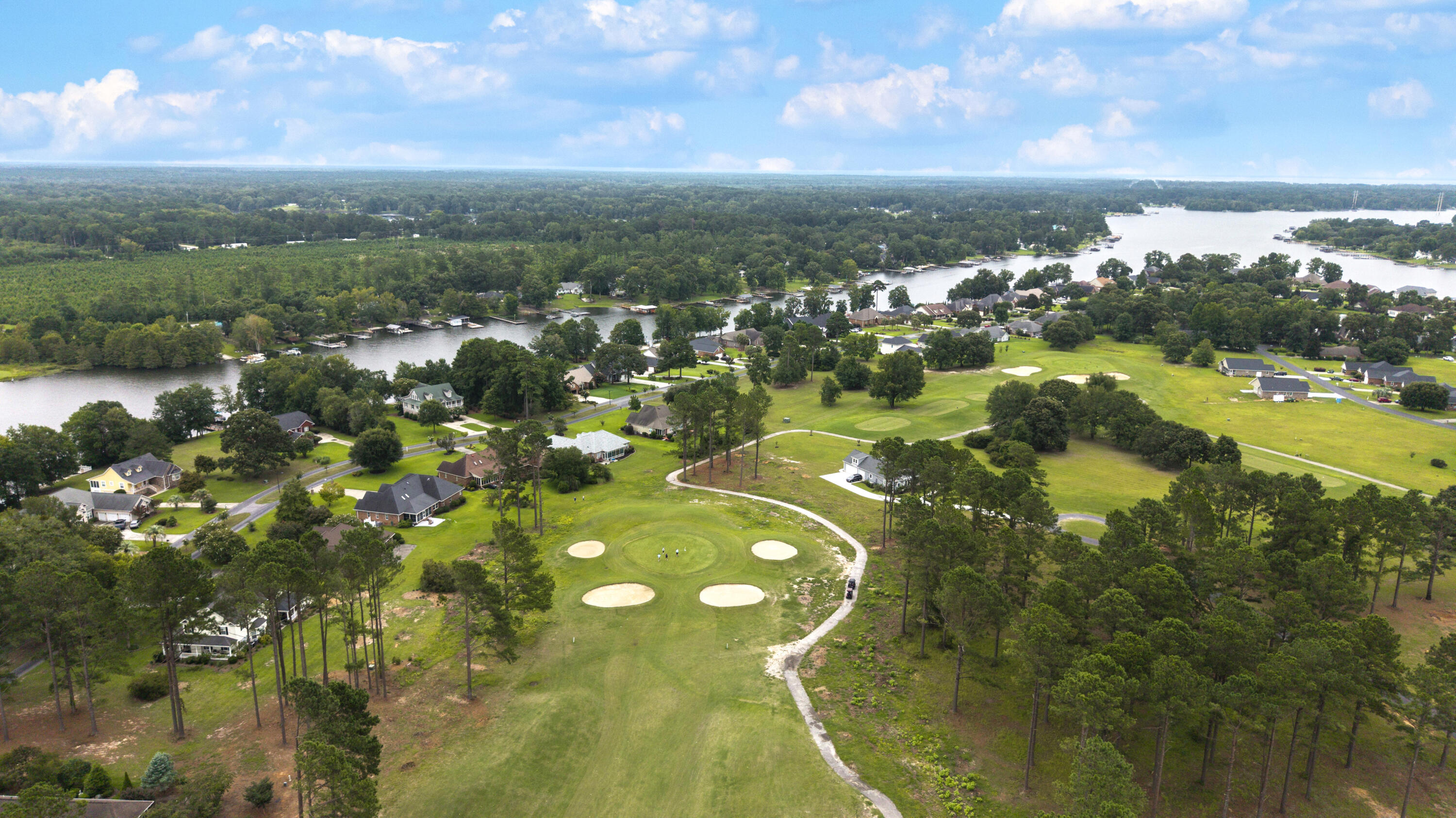 245 Plantation Drive Manning, SC 29102 - Photo 44 of 62 AERIAL